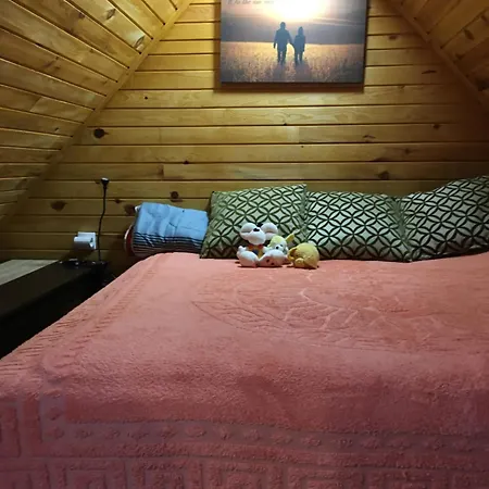 Brvnara Ruska Sauna