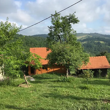 Brvnara Ruska Sauna