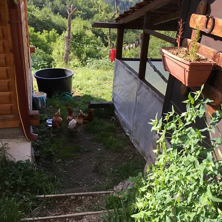 Brvnara Ruska Sauna Chalet Cajetina (Zlatibor)
